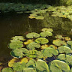 Meet your Posher, Chloe